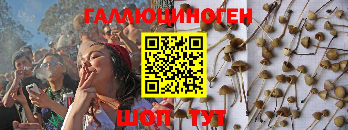 Псилоцибиновые грибы GOLDEN TEACHER  Вход с VPN  Сочи 